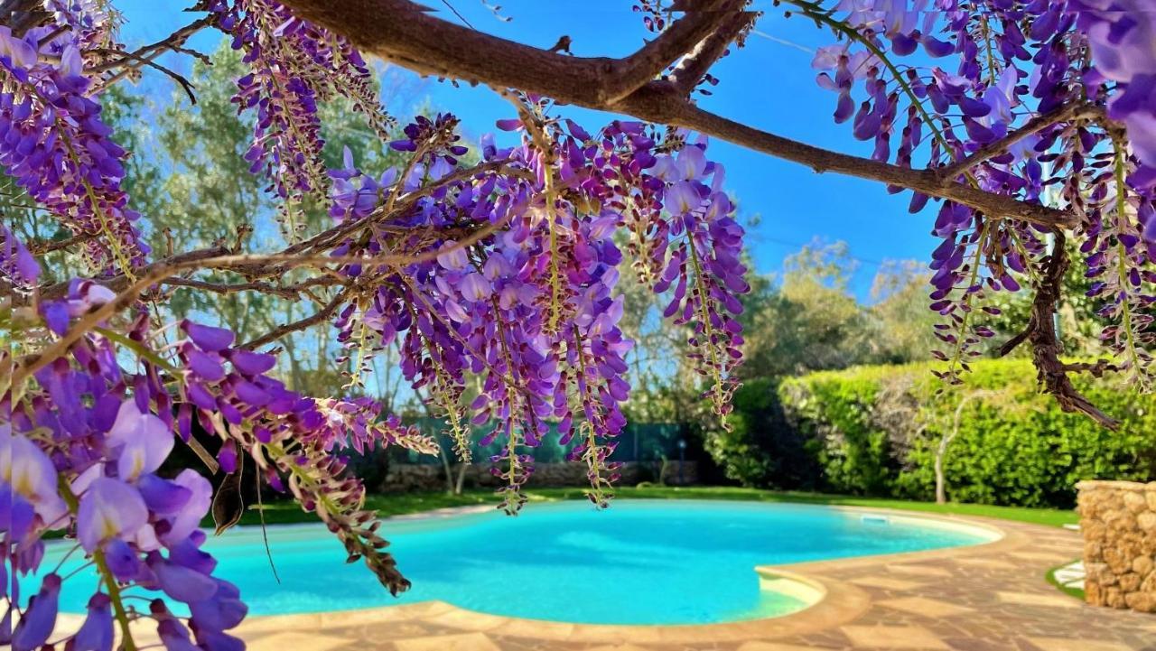 Agriturismo Sa Mandra Casa Minnina ภายนอก รูปภาพ