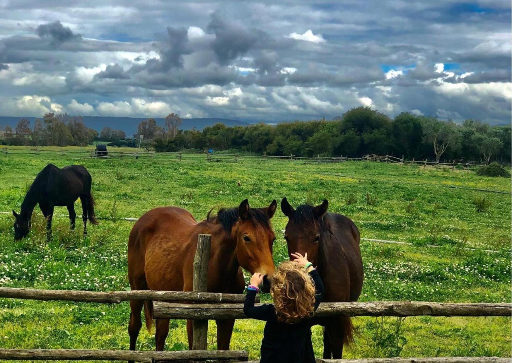 Agriturismo Sa Mandra Casa Minnina ภายนอก รูปภาพ