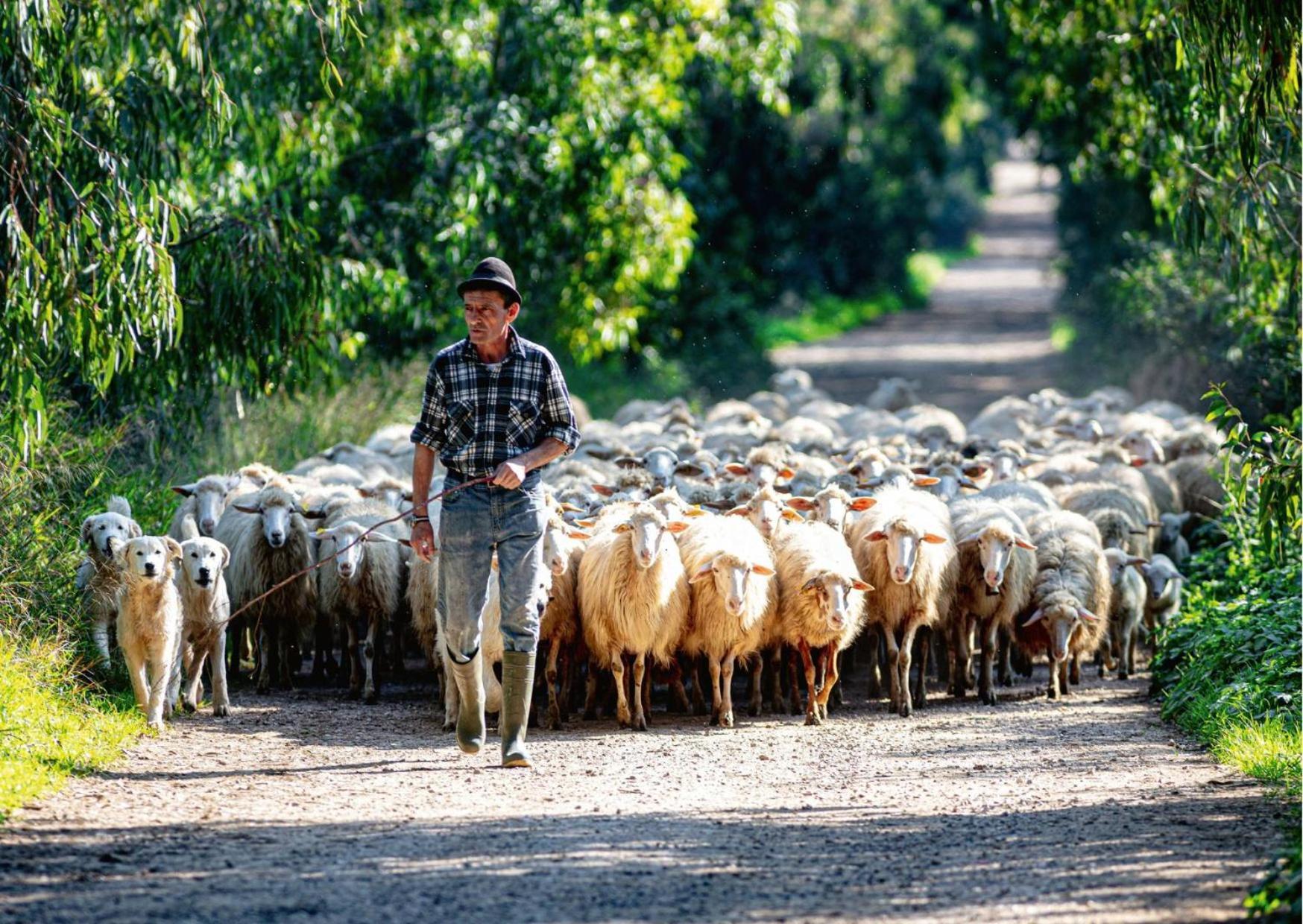 Agriturismo Sa Mandra Casa Minnina ภายนอก รูปภาพ